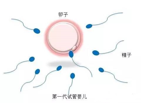 光愈生殖医学中心环境